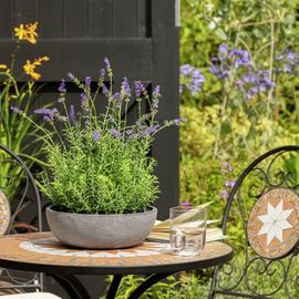 Argos shop beach toys