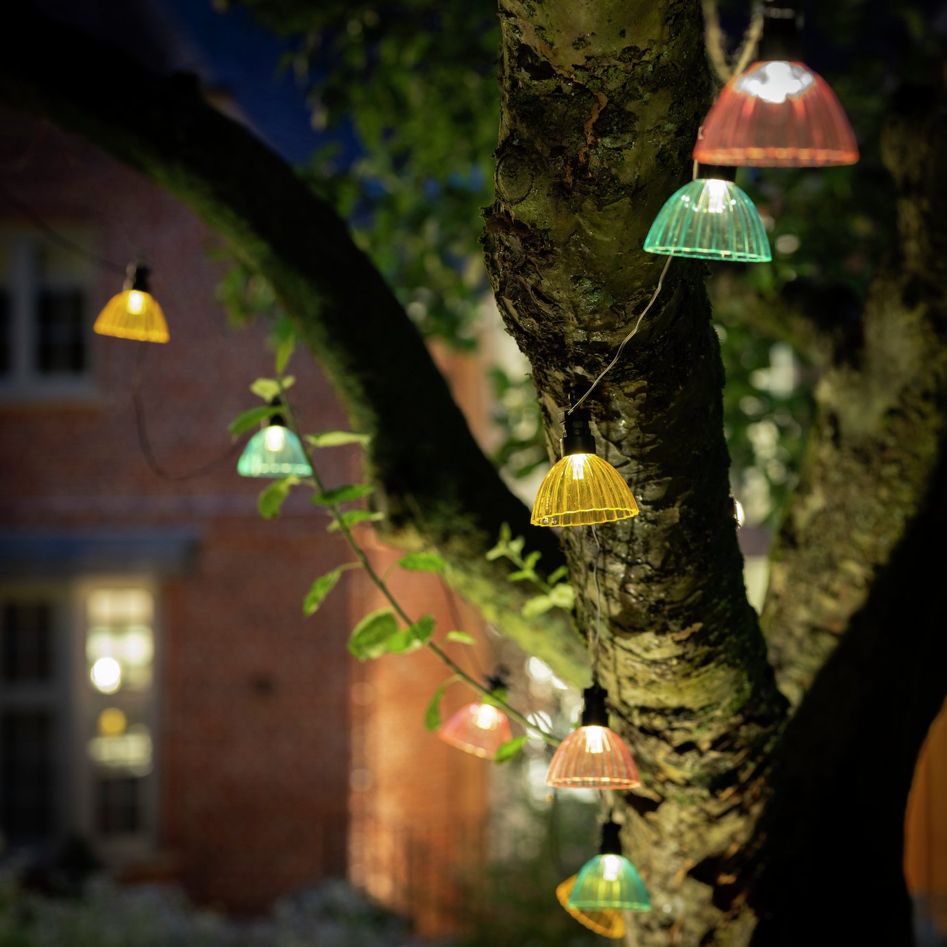 Habitat 10 Warm White Solar String Light