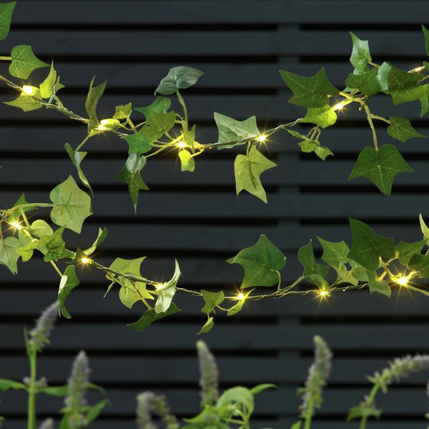 ivy leaf fairy lights