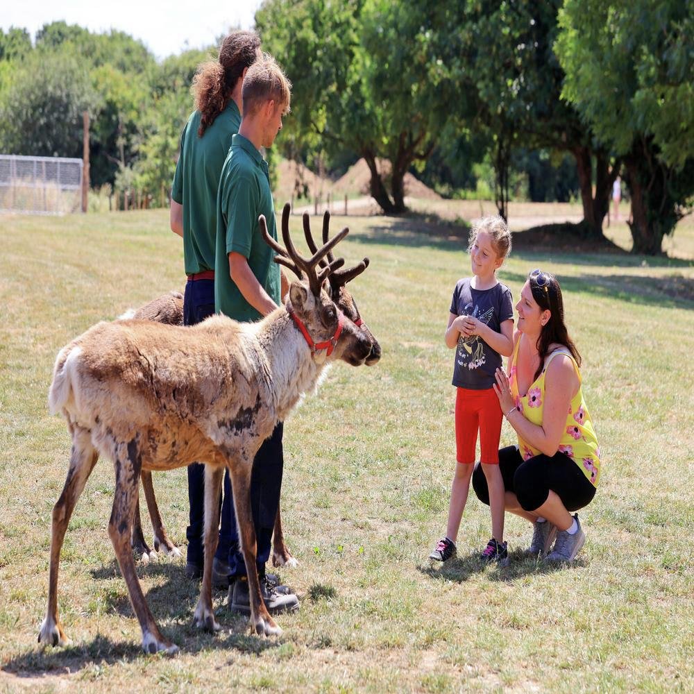 Red Letter Days Zoo Keeper For Two Gift Experience