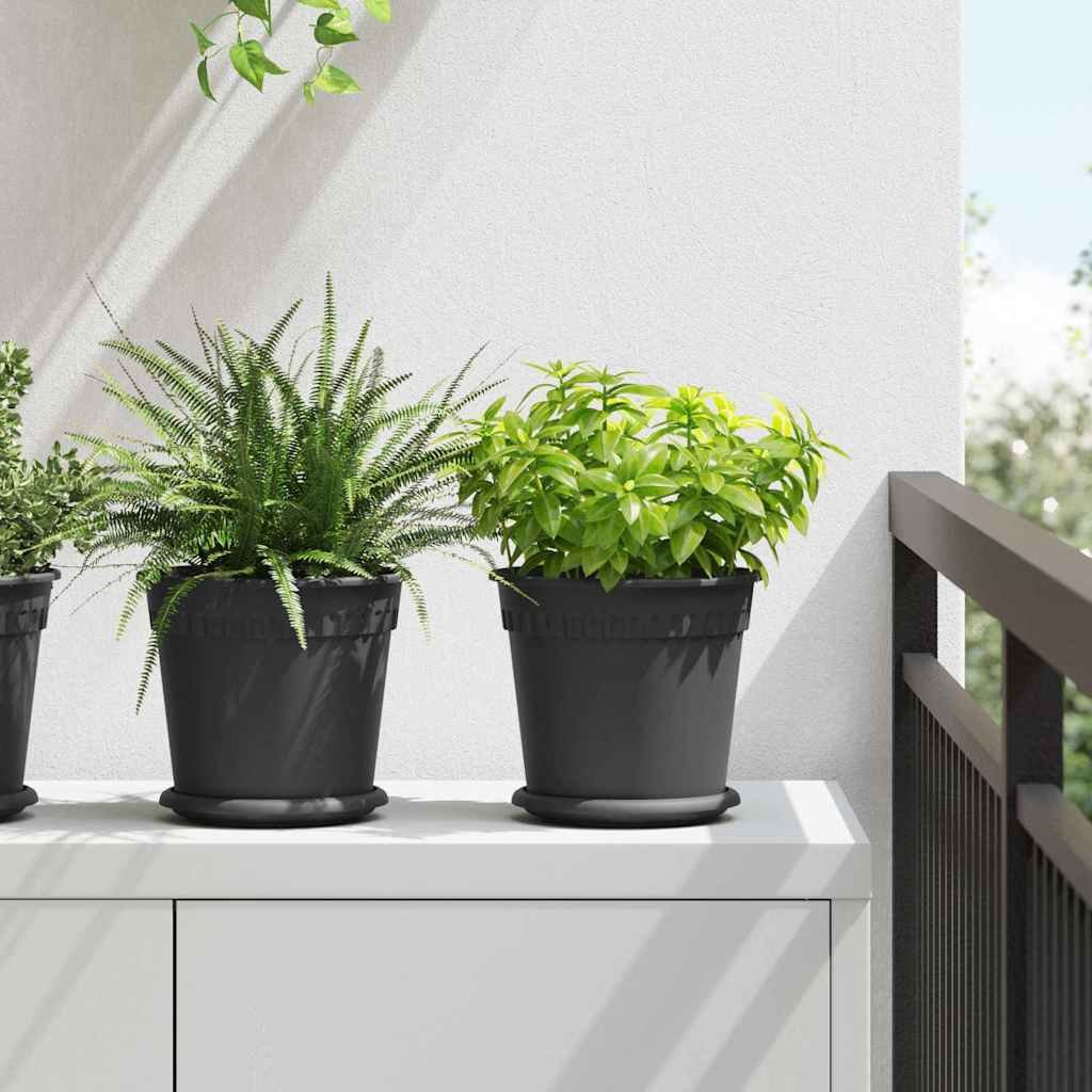 Walplus Pack of 6 Plastic Plant Pot - Black - 19 x 19 x 16 cm