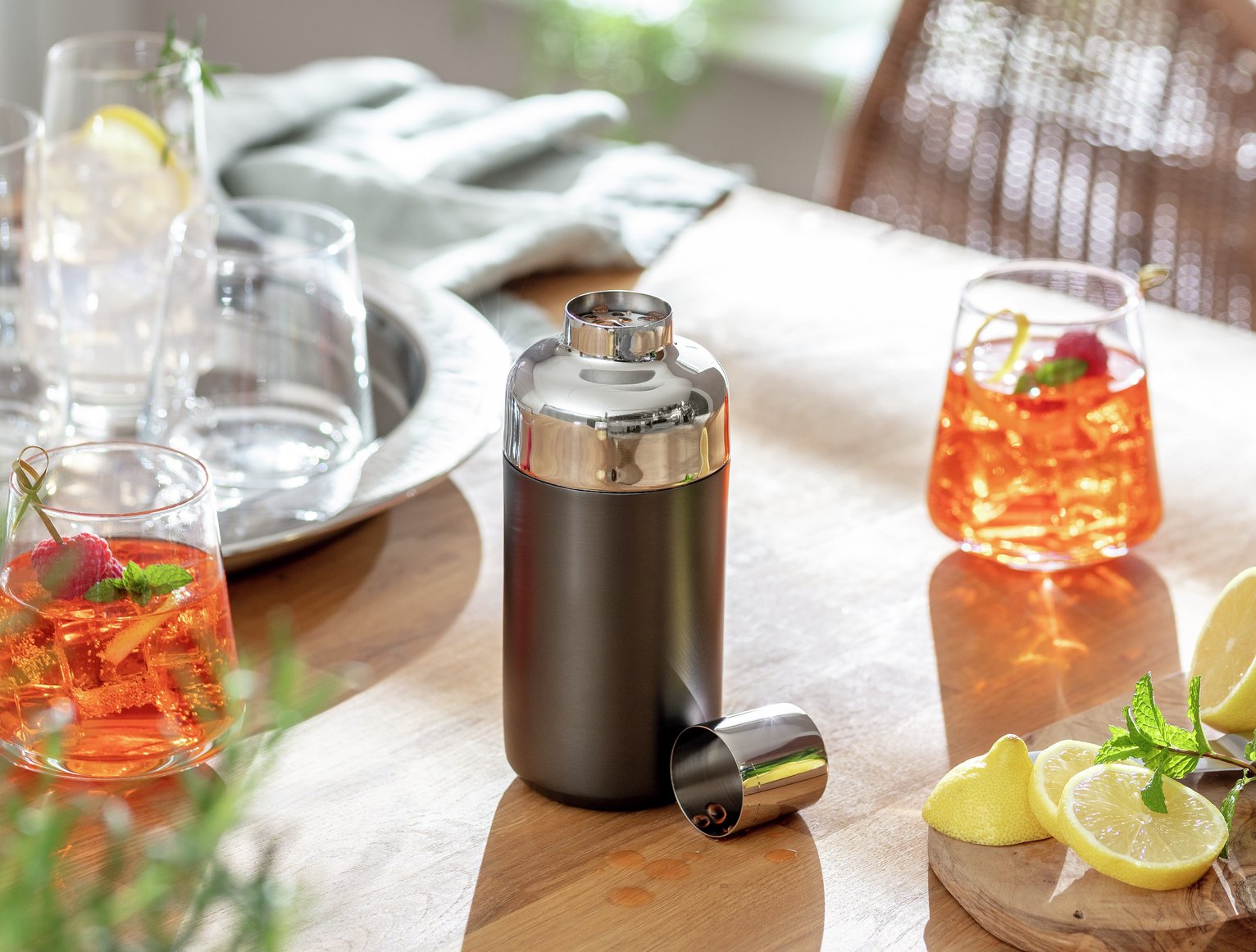 Habitat Cocktail Shaker