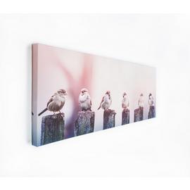 Art for the Home Birds Canvas Wall Art - 100x40cm