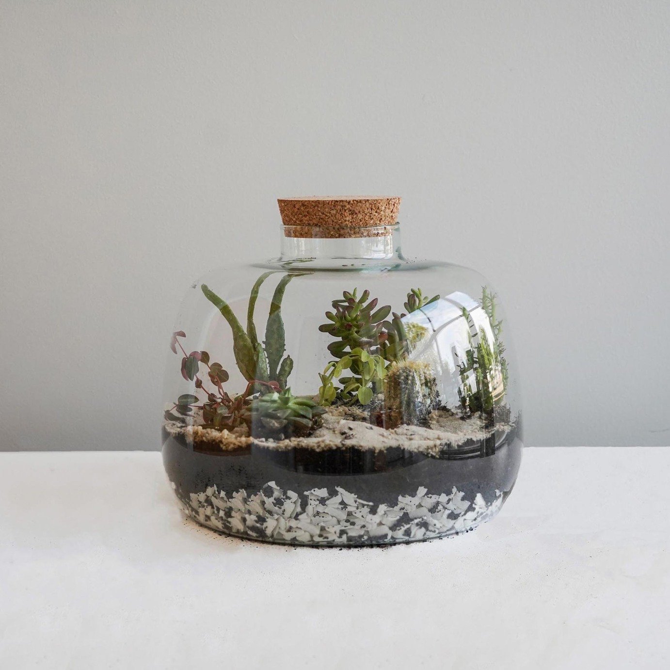 Ivyline Bowl Shape Large Terrarium DIY Kit