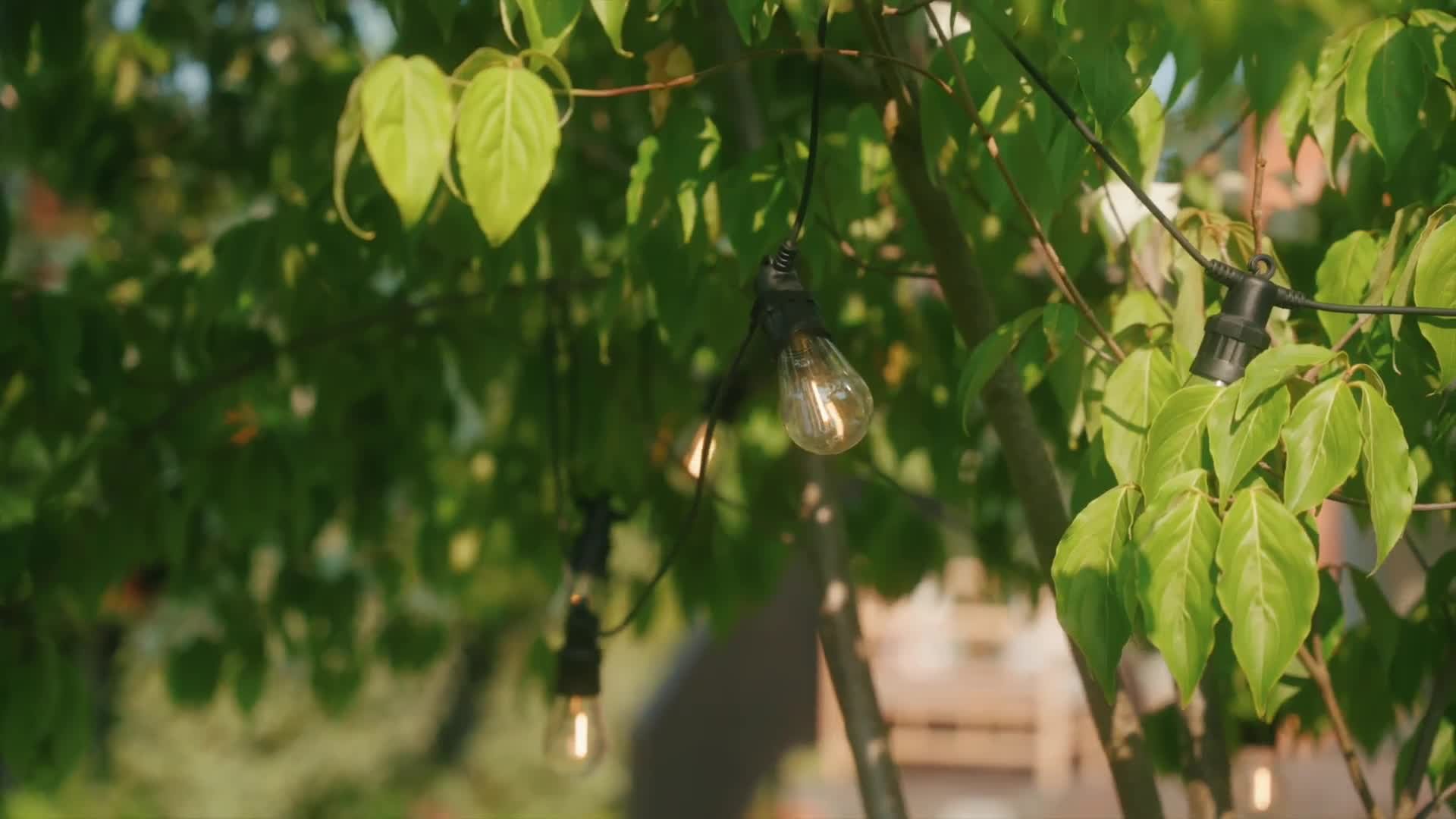 Smart Garden 20 Vintage Festoon String Lights - Warm White