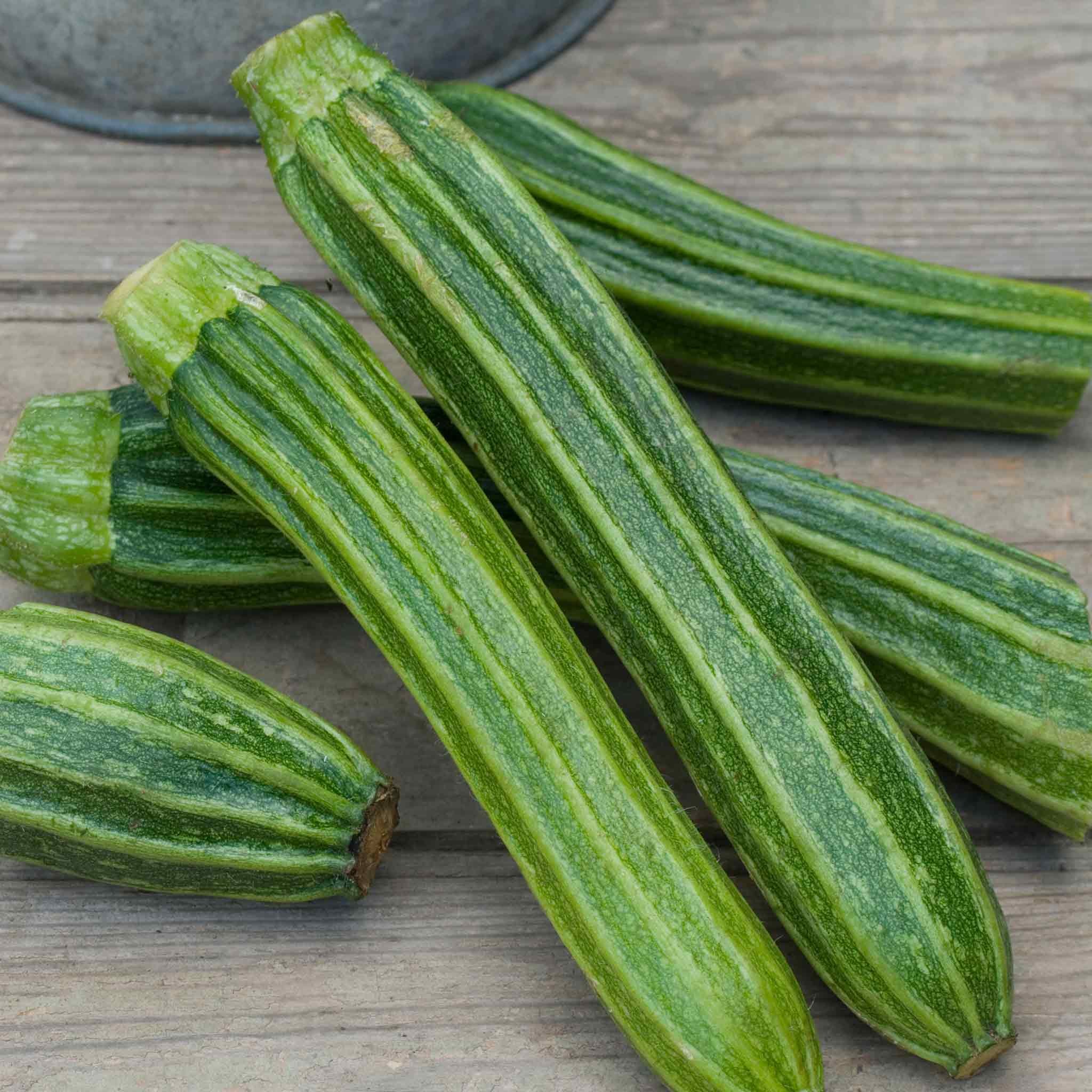 Marshalls Garden Courgette Seeds 'Romanesco Latino' F1 -  10 Seeds