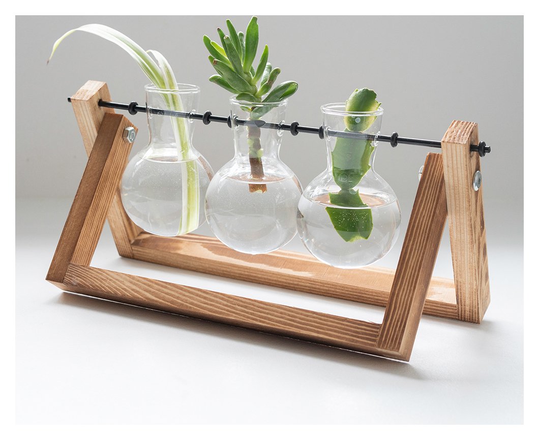 Menkind Propagation Vases