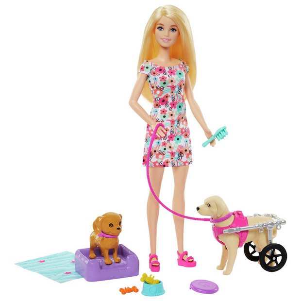 Buy Barbie Walk & Wheel Doll and Wheelchair Puppy Playset, Dolls