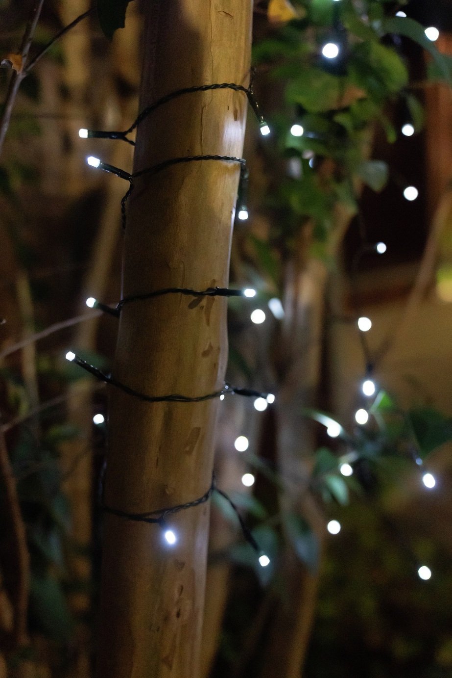 Garden By Sainsbury's 300 White Solar String Light