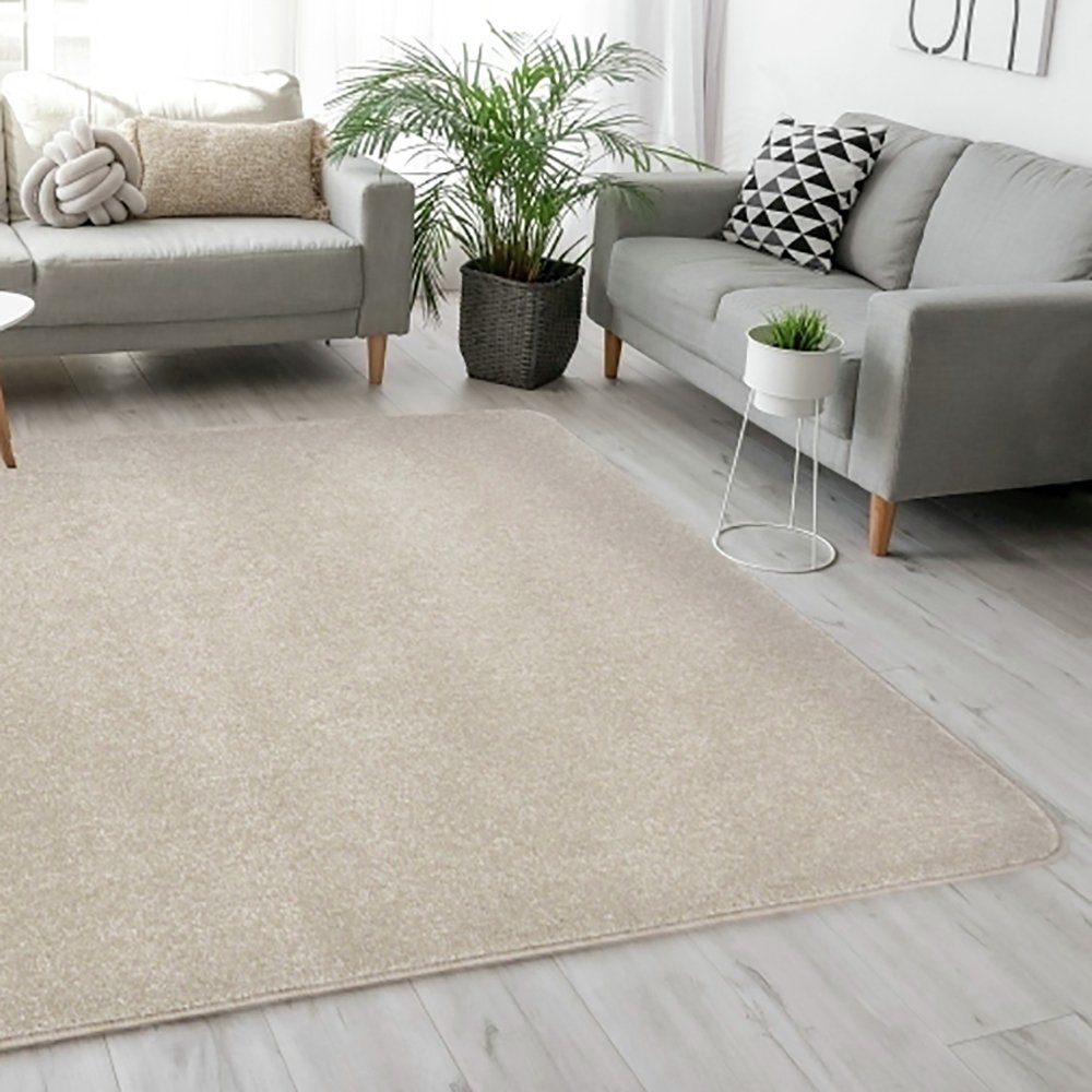 Homemaker Relay Plain Short Pile Rug
