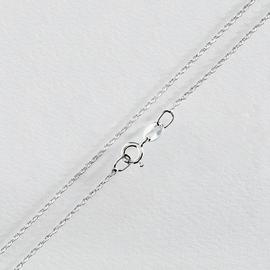 Argos 2025 snake chain