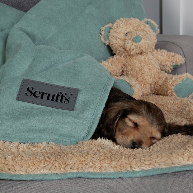 Argos shop pet blanket