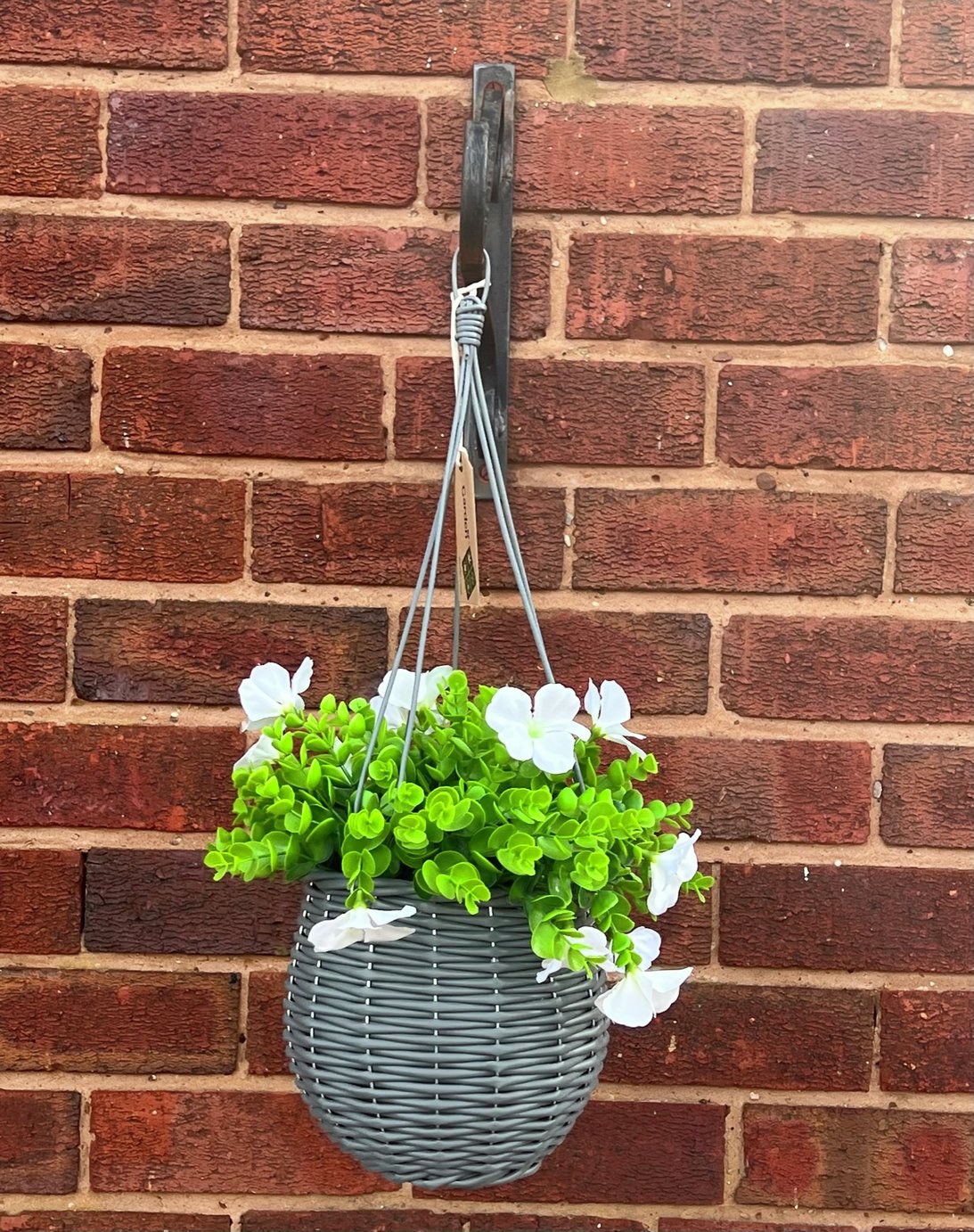 Garden XP Flower with Hanging Basket - Set of 2