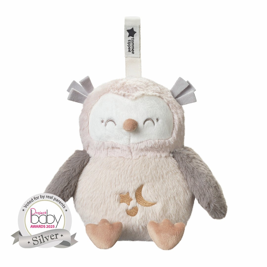 Tommee Tippee Deluxe Ollie The Owl Light