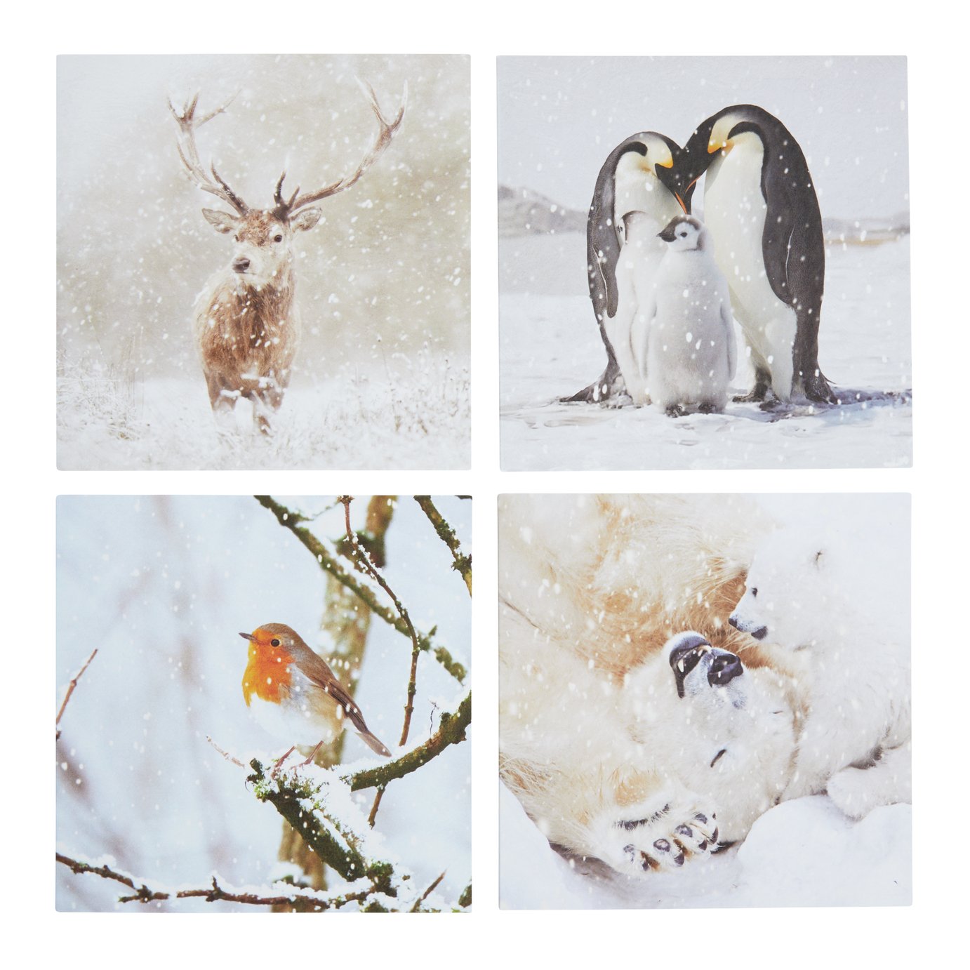 Comic Relief Pack of 24 Photographic Animals Christmas Cards