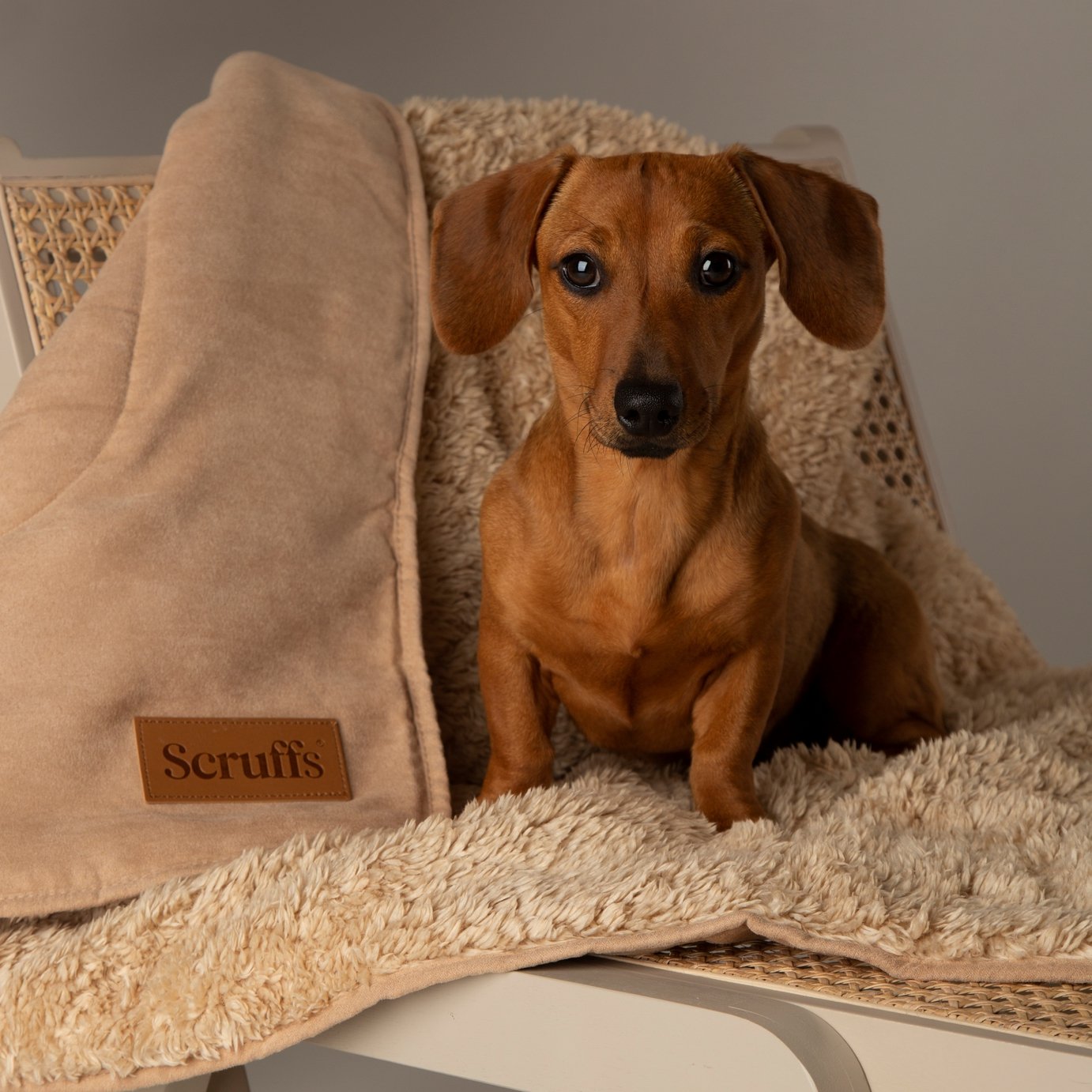 Scruffs Snuggle Blanket-Desert Sand