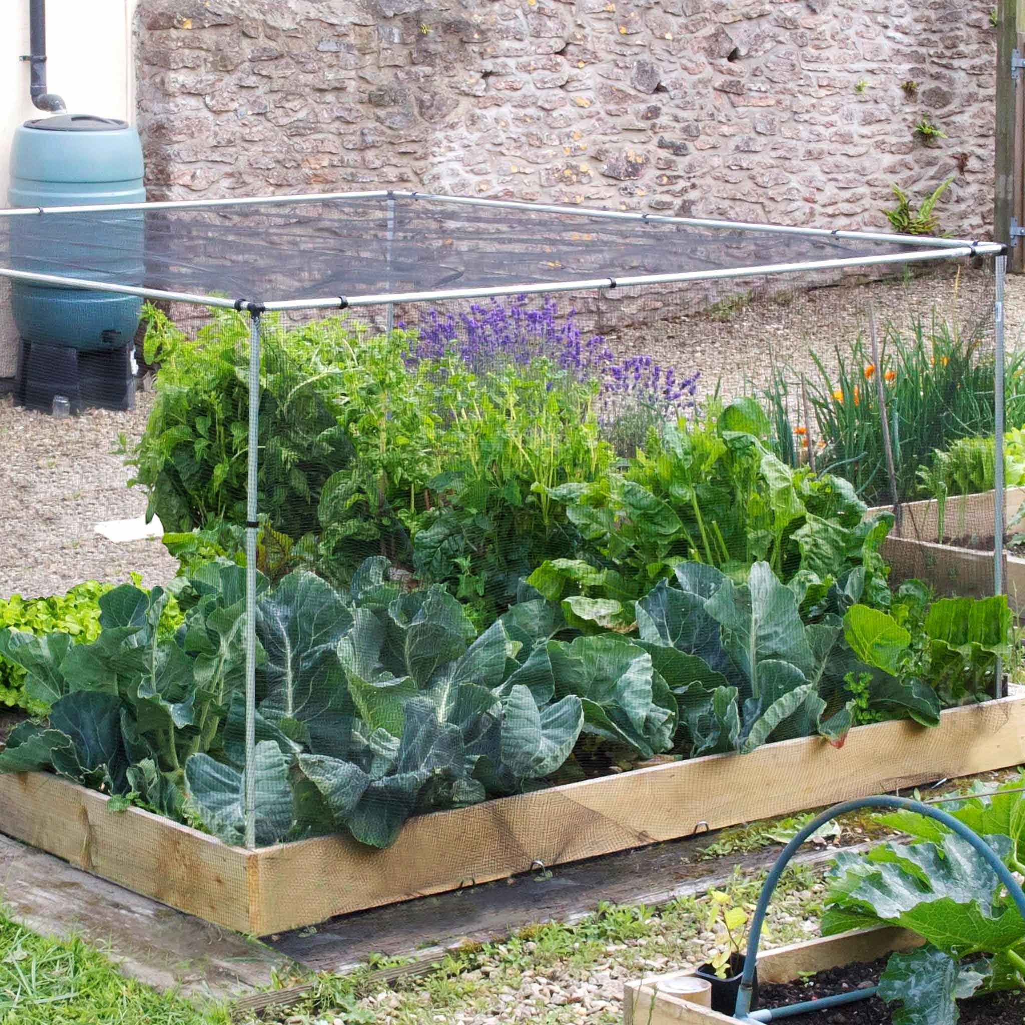 Marshalls Garden Cage Starter Kit
