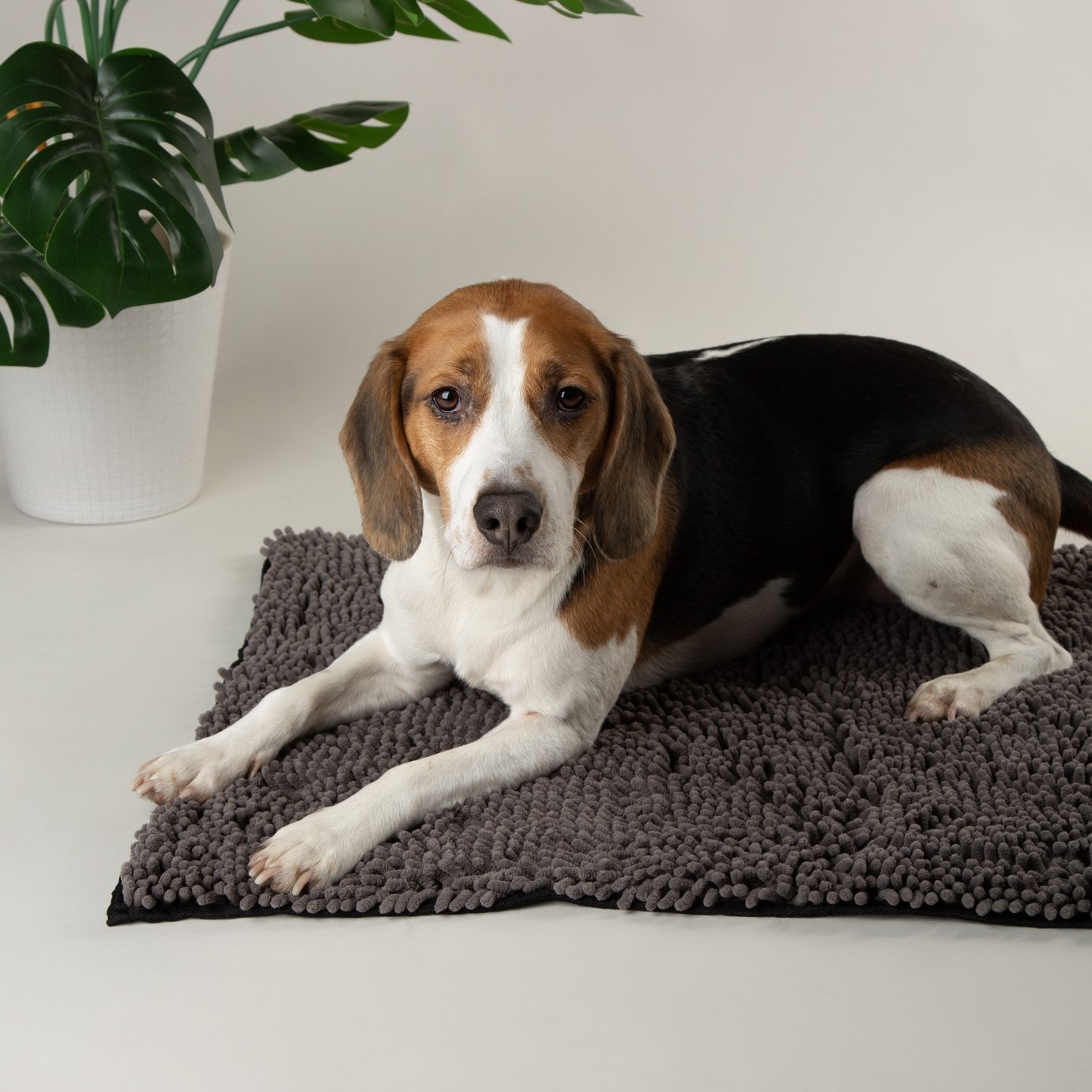 Scruffs Noodle Grey Pet Dry Mat-Medium