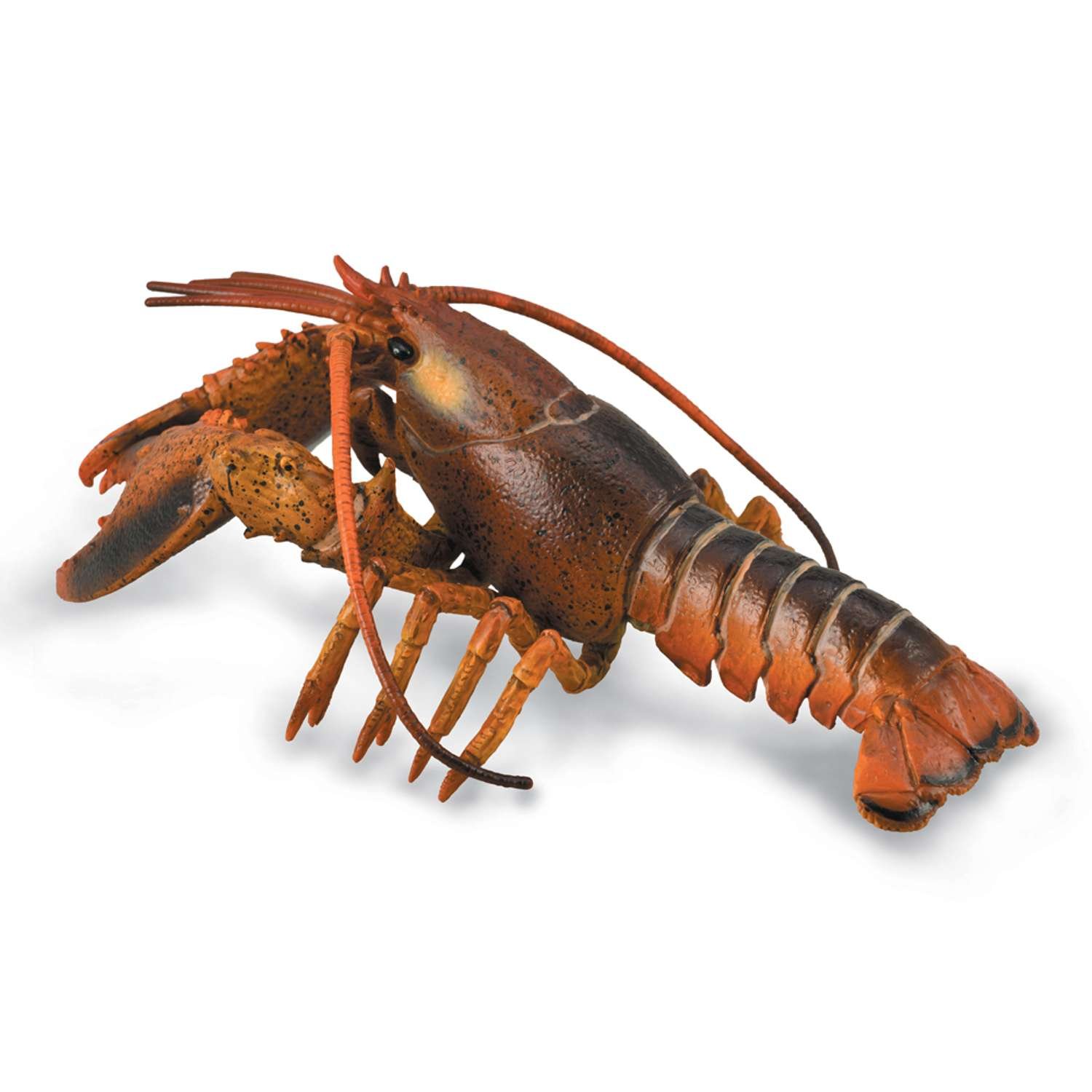 CollectA Lobster - 3 Years +