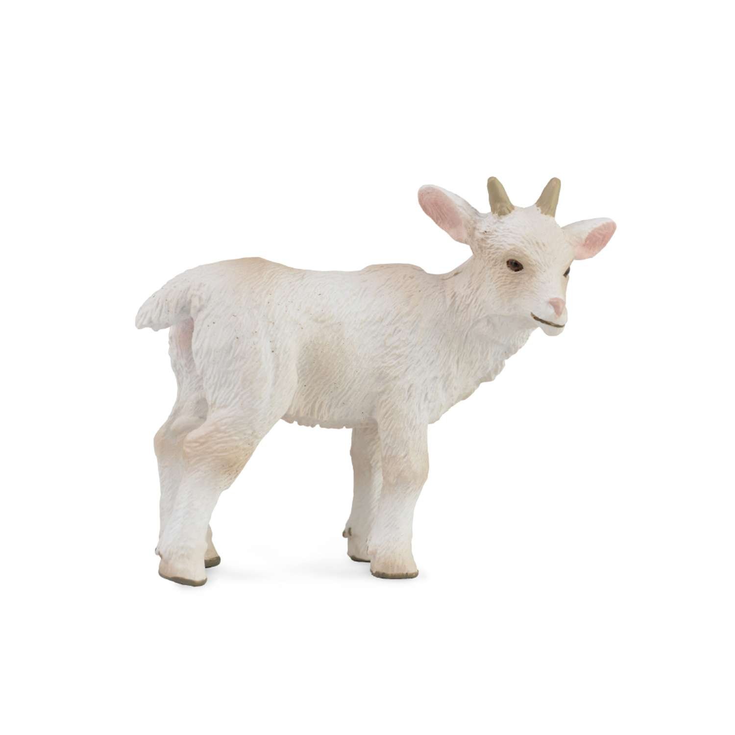 CollectA Goat Kid - Standing - 3 Years +