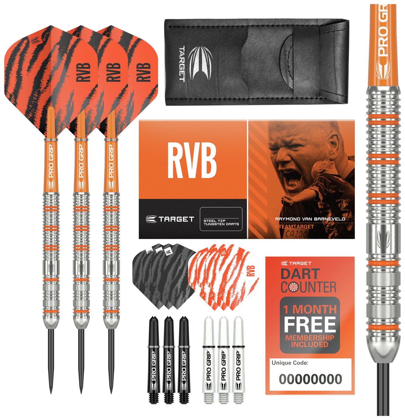 Target Raymond van Barneveld 24g Tungsten Darts Set