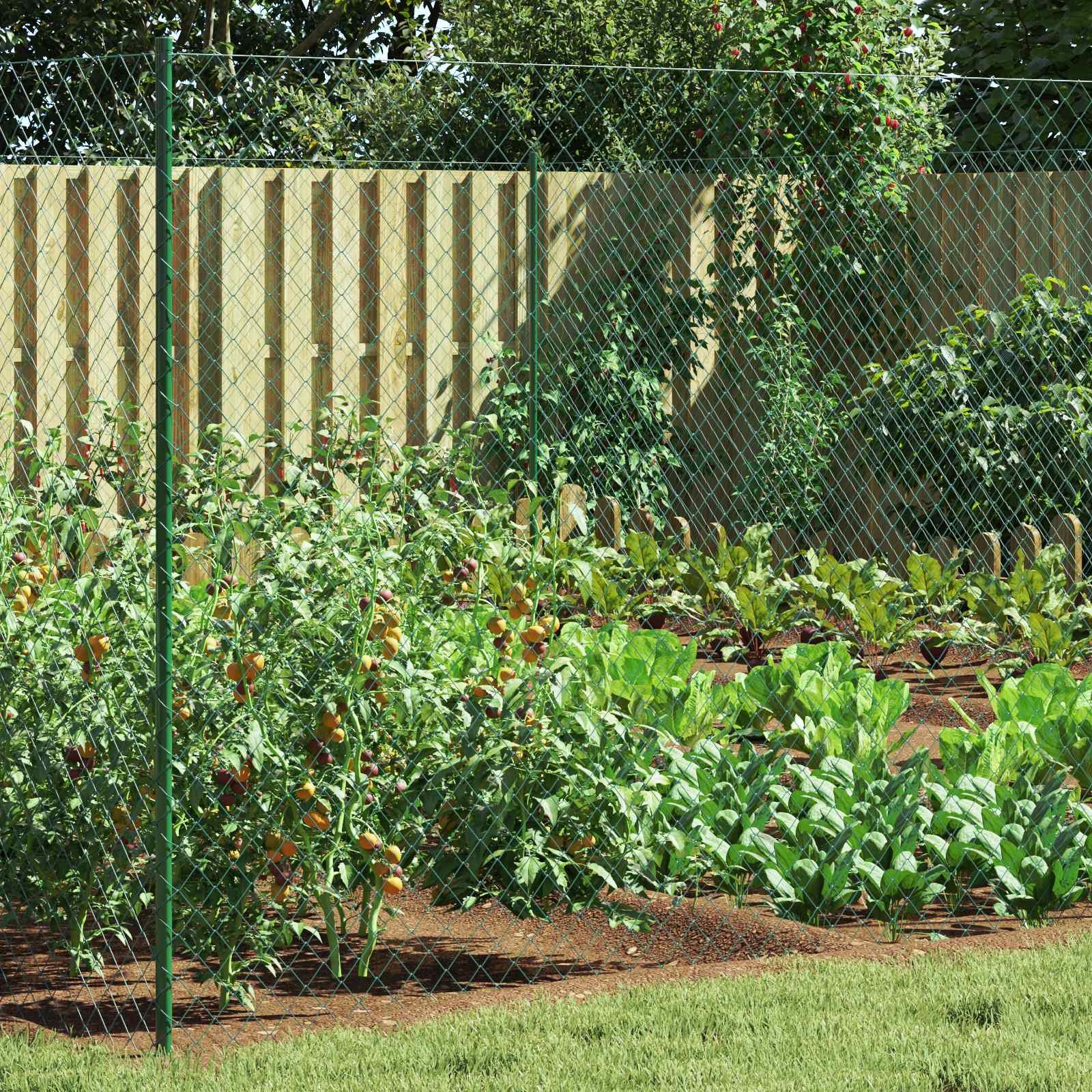 Walplus Steel Chain Link Fence - Green - 200 x 1000 cm