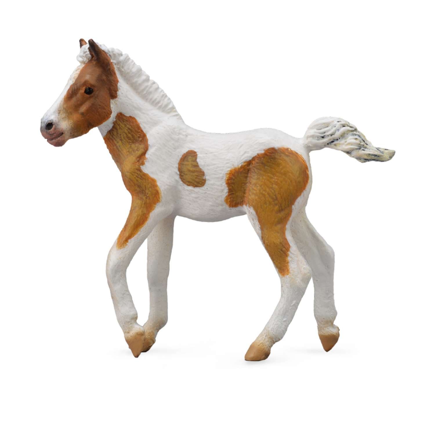 CollectA Dartmoor Hill Foal Skewbald - 3 Years +