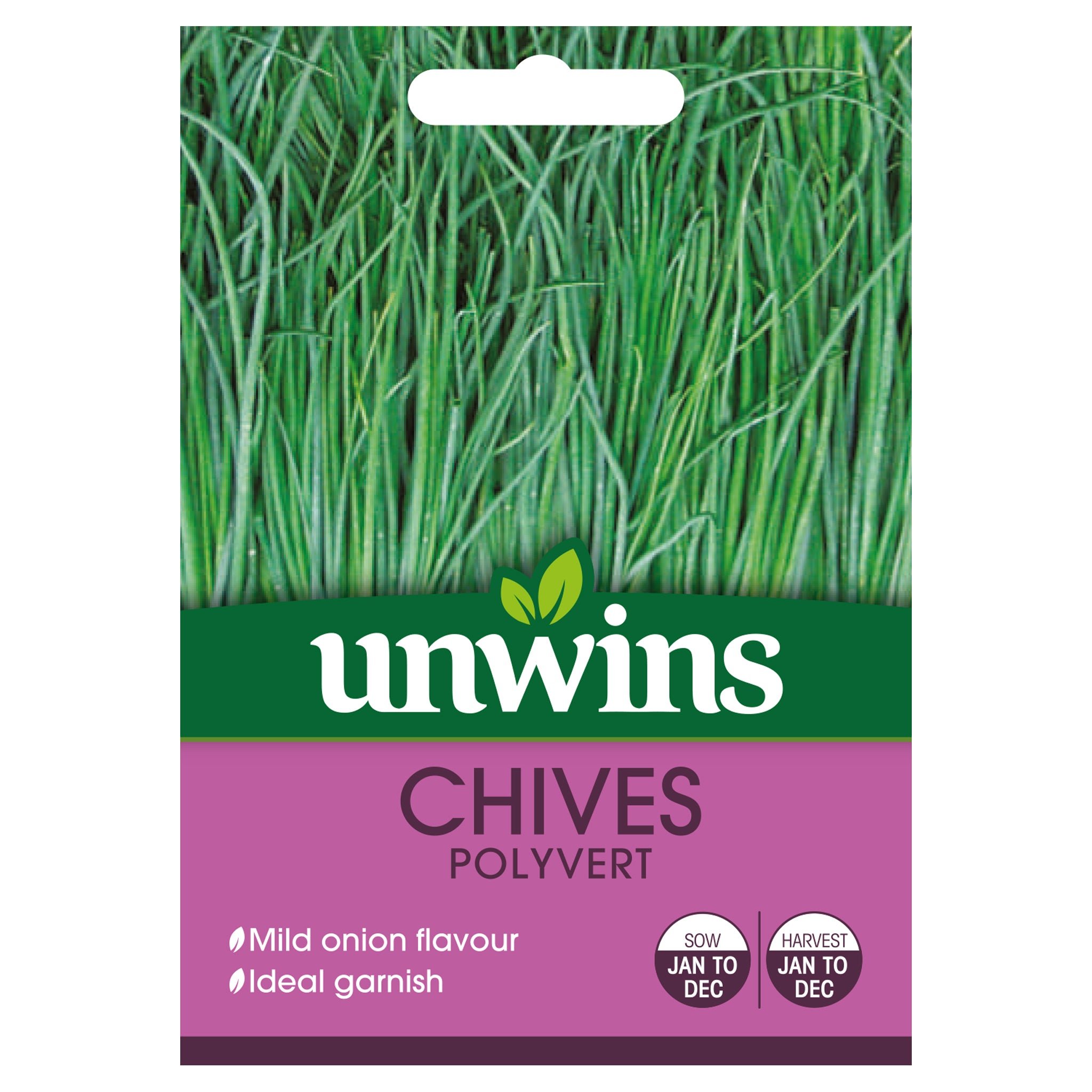 Marshalls Garden Chives Seeds 'Polyvert' - 250 Seeds