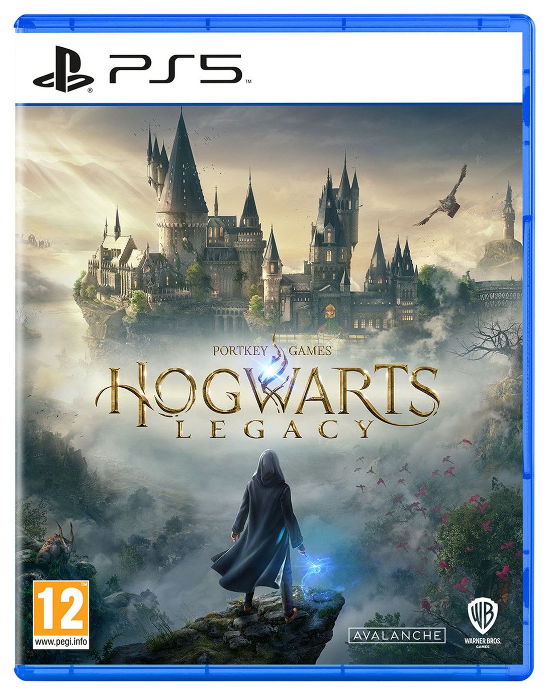 Hogwarts Legacy PS5 Game