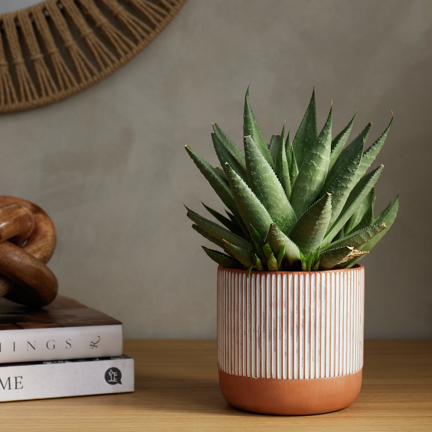 Habitat Terracotta Medium Planter - Orange