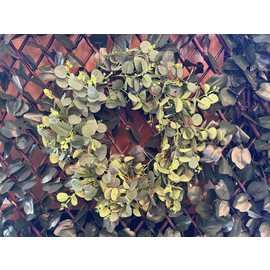 Garden XP Artificial Eucalpyptus Wreath