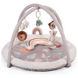 Red Kite Play Gym Woodland Walks