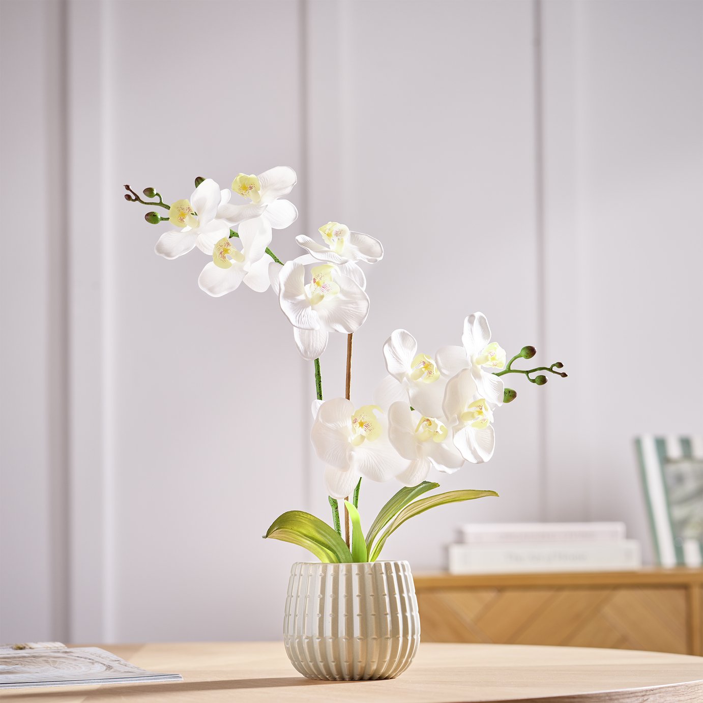 Argos Home Artificial White Orchids in Cream Ceramic Pot
