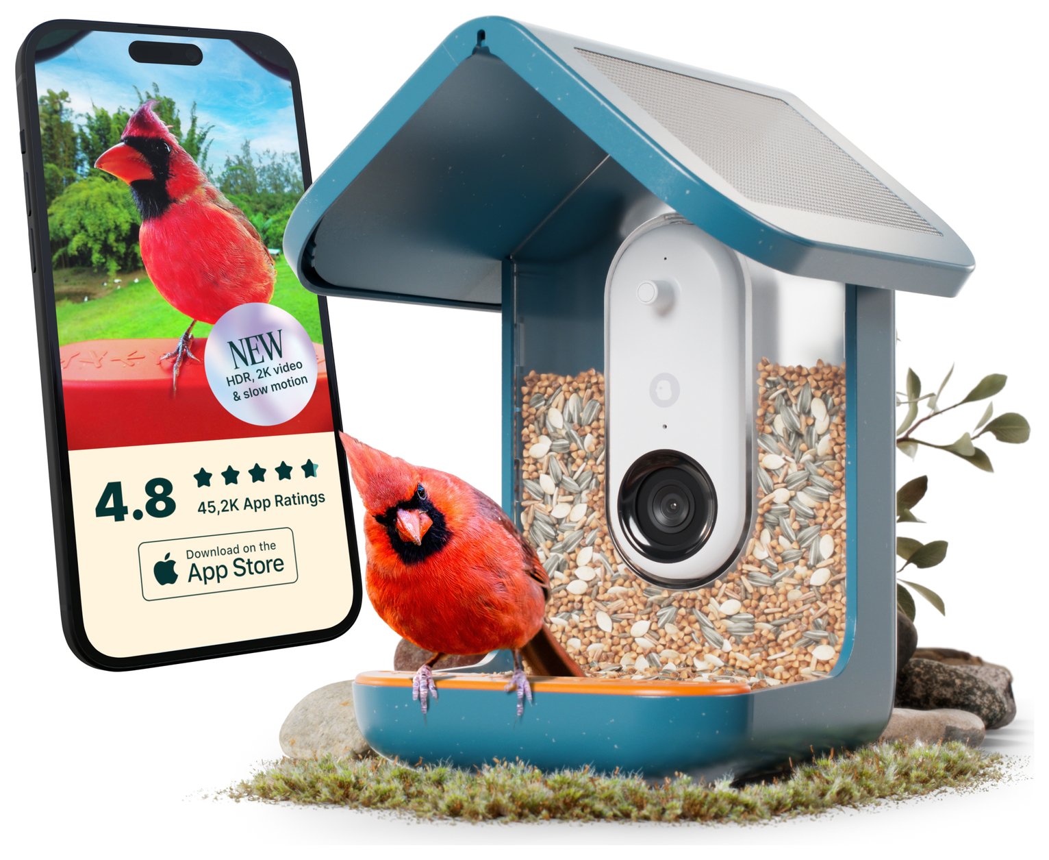 Bird Buddy Smart Bird Feeder Pro - Blue