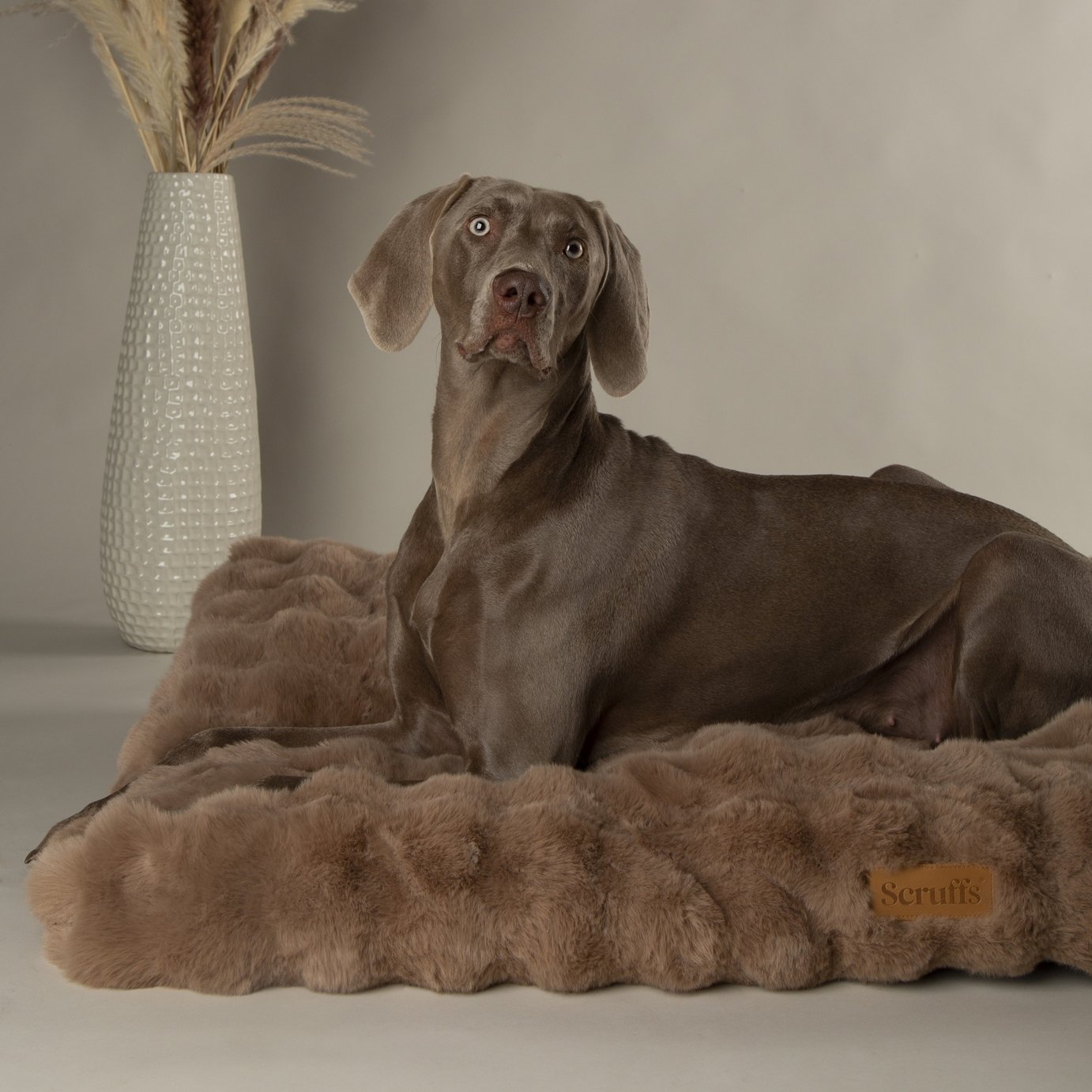Scruffs Alpine Taupe Dog Mattress - Large
