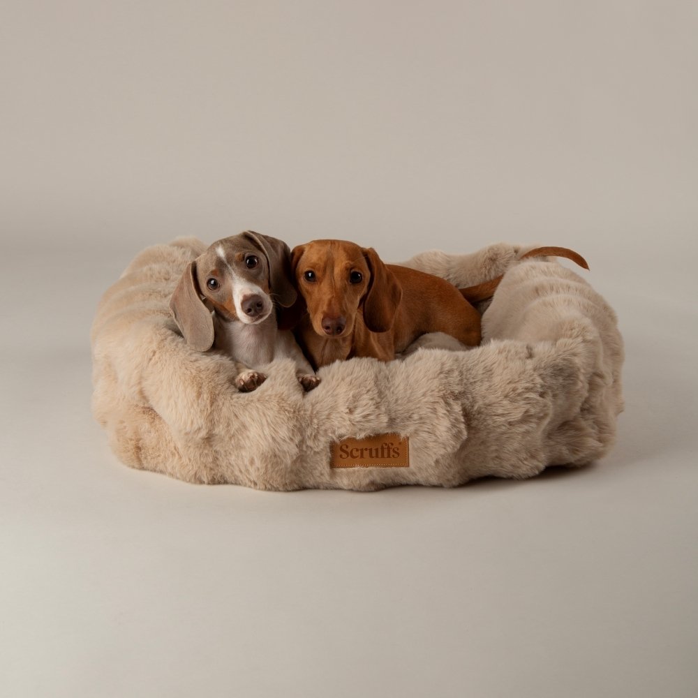 Scruffs Alpine Champagne Dog Bed - Medium