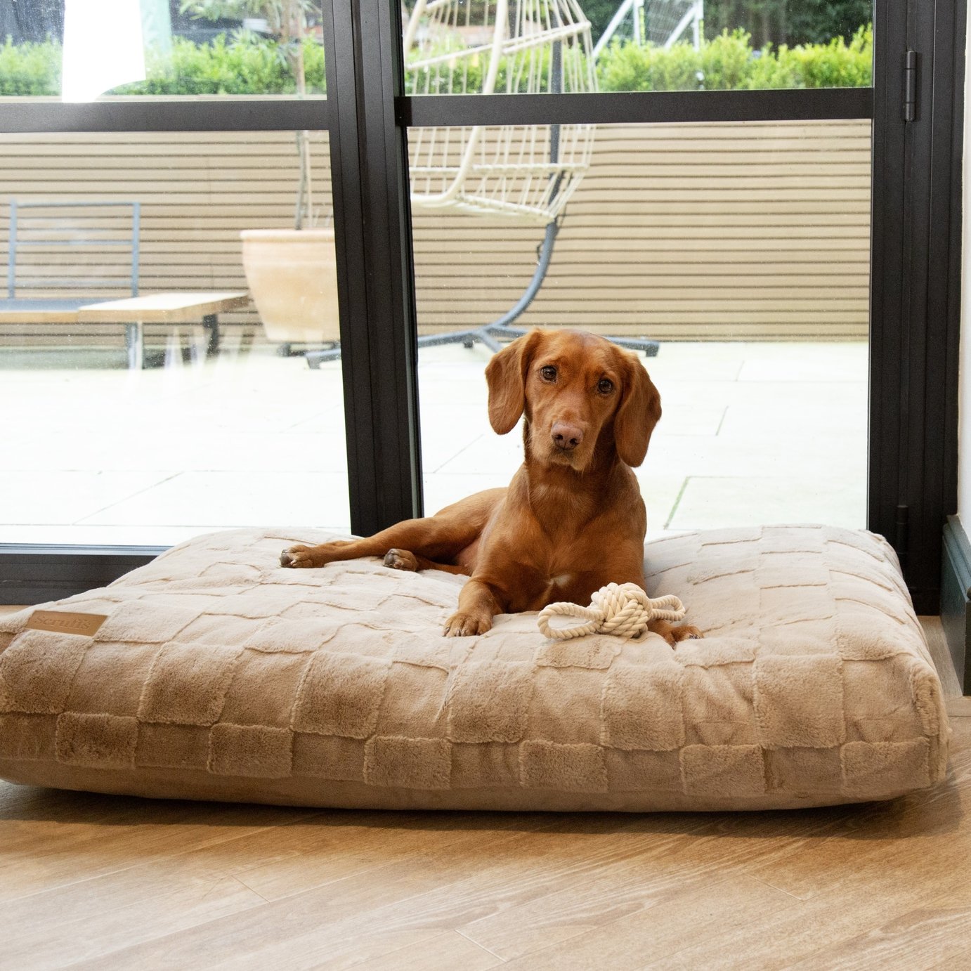 Scruffs Oxford Caramel Dog Mattress - XL