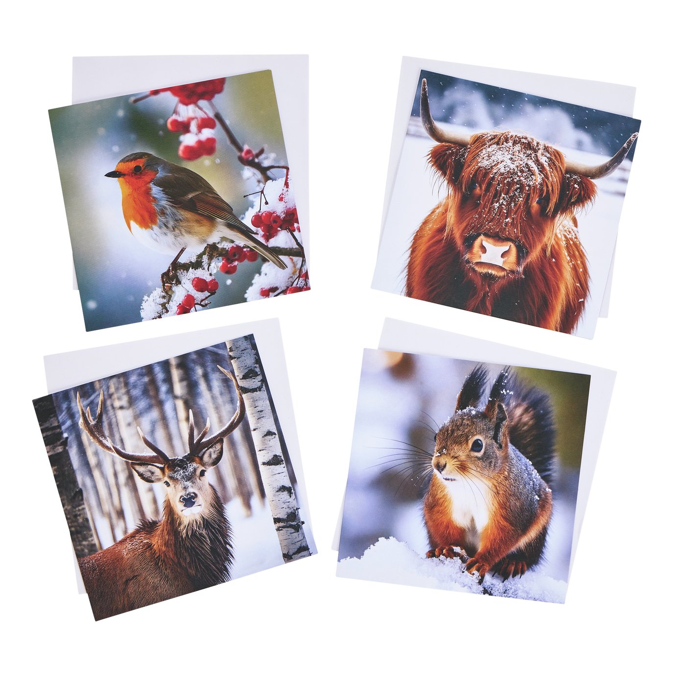 Argos Home Pack of 24 Animal Image Christmas Cards Multipack