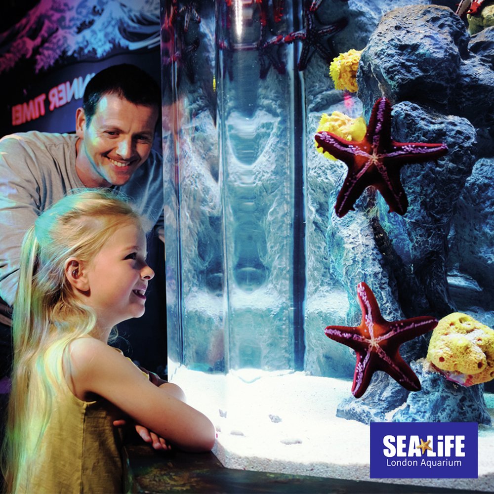 Red Letter Days Merlin Theme Park Tickets Digital Download