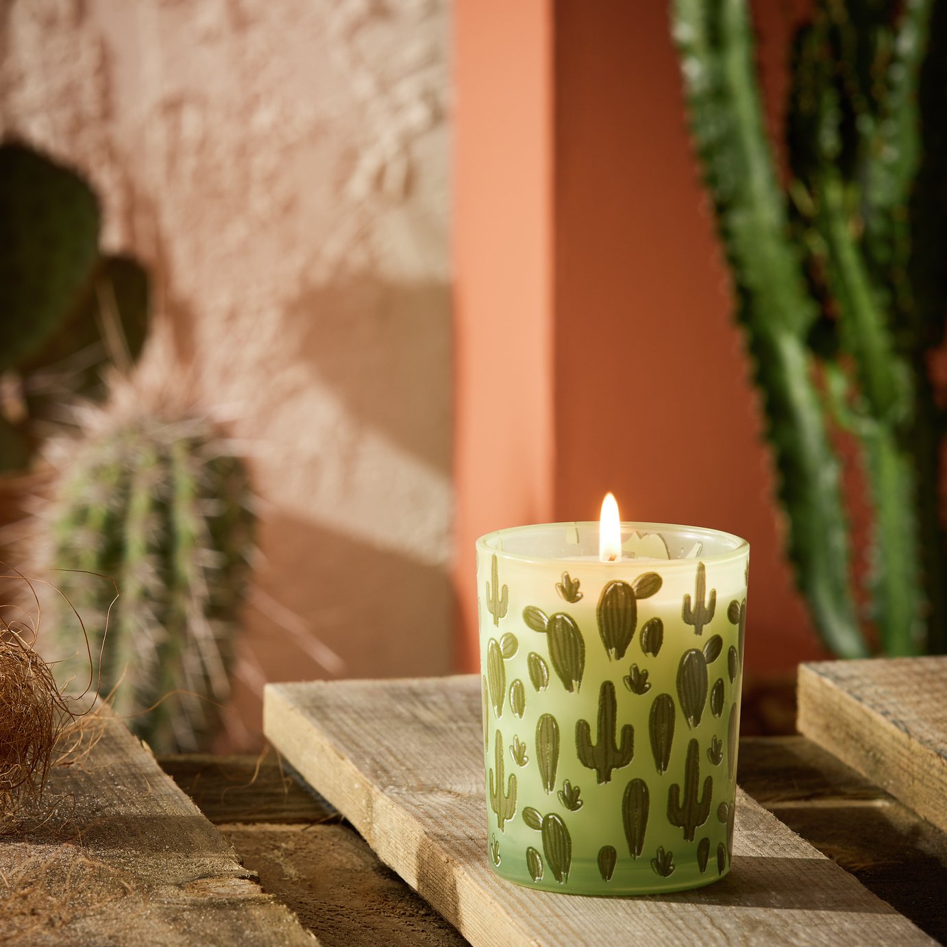 Habitat Boxed Candle - Texas