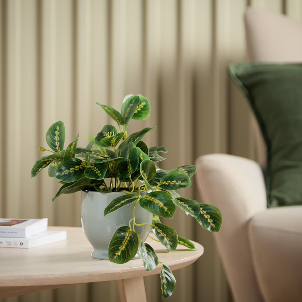 Argos Home Artificial Trailing Leaf in Grey Ceramic Pot