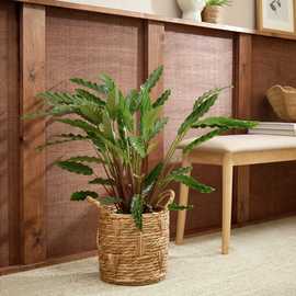 Habitat Large Rattan Handle Planter