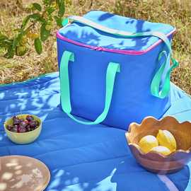 Argos Home Striped Cool Bag - 25L / Blue