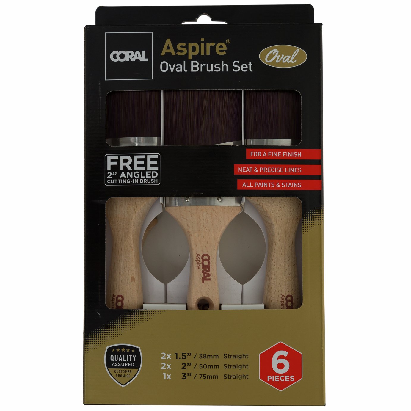 Coral Aspire Oval Paint 6 Pieces Brush Set