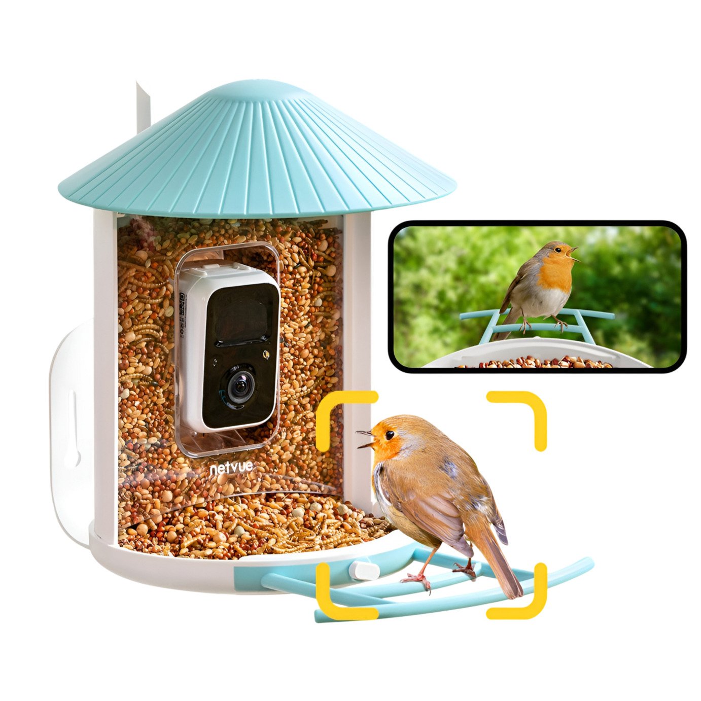 Birdfy AI Bird Feeder Solar Powered with Camera