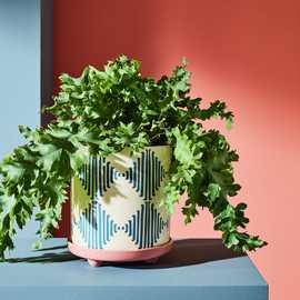 Habitat Harlequin Ceramic Blue Planter with Saucer
