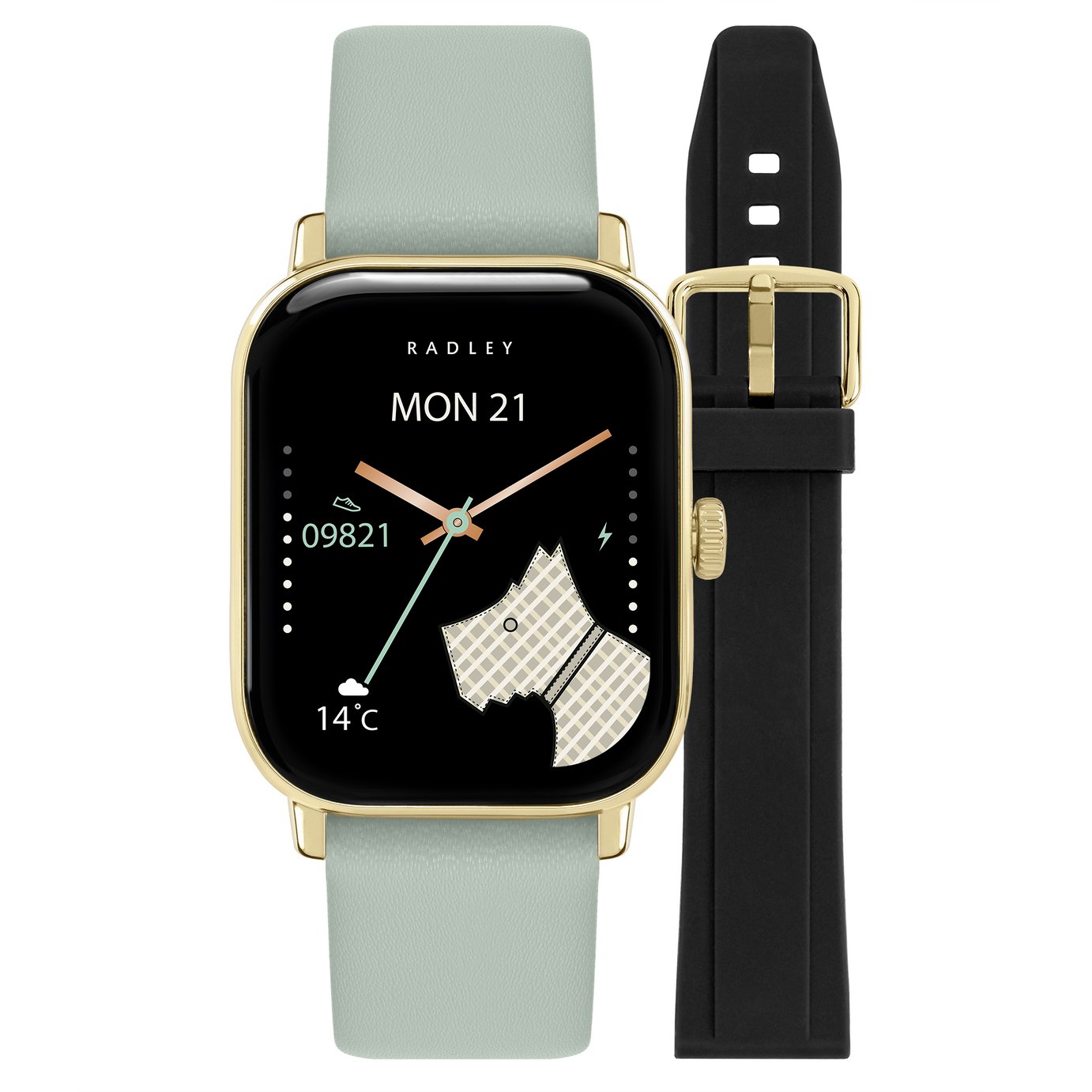 Radley Petite Interchangeable Strap Calling Smart Watch Set