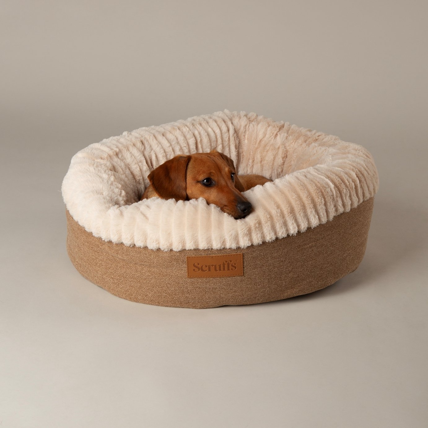 Scruffs Ellen Donut Dog Bed - Medium