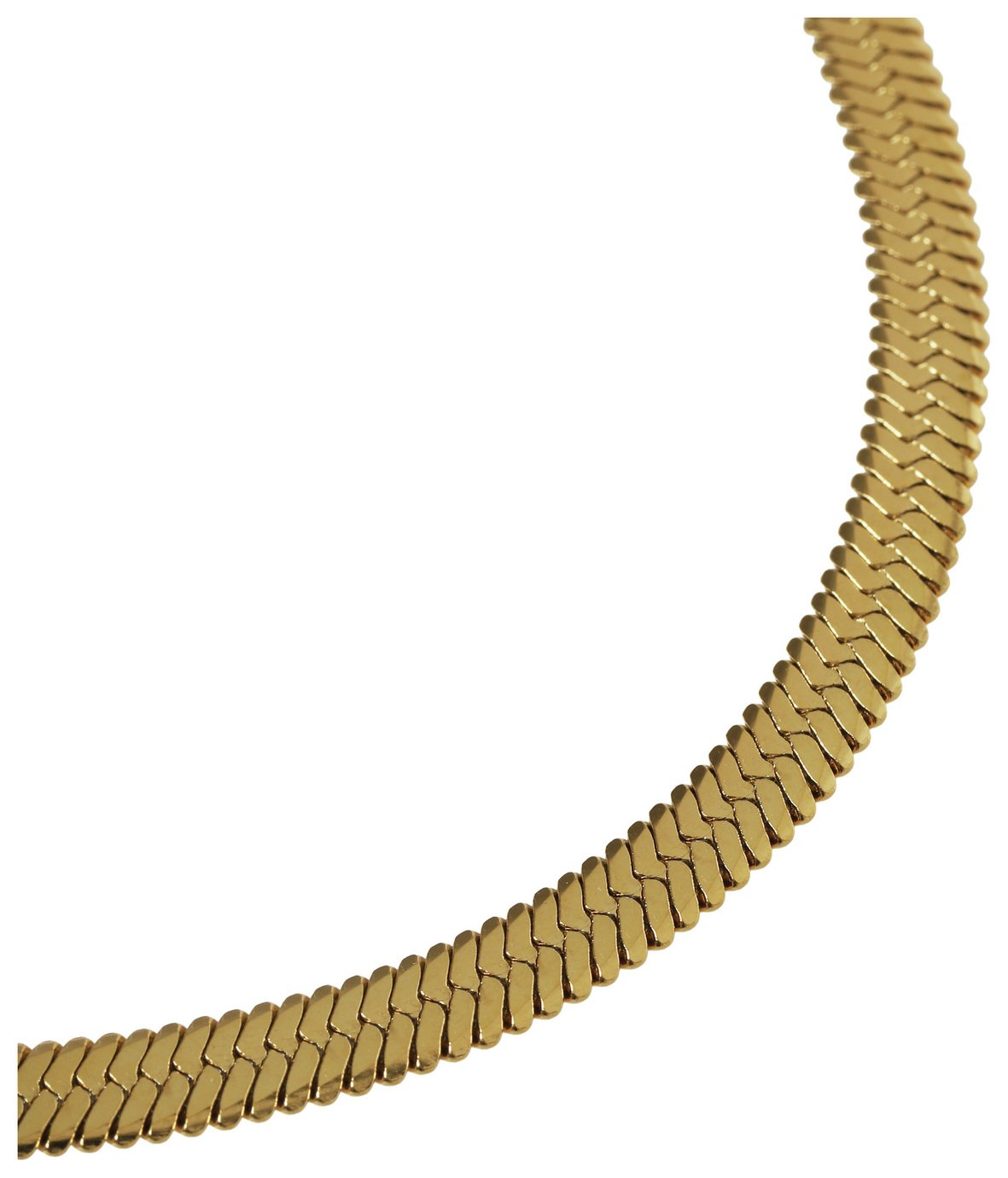 Liars & Lovers Gold Tone Sleek Snake Chain Necklace