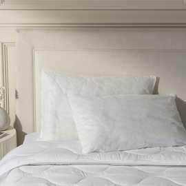 Home Essentials Everyday Soft Pillow - 2 Pack